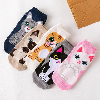 5 Pairs Cute Summer Socks Set