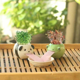 Cute Animal Drinking Ceramic Plant pot Home & Garden by The Kawaii Shoppu | The Kawaii Shoppu