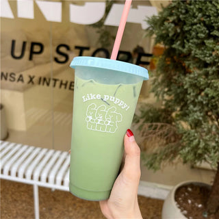 Kawaii Plastic Water Bottle with Lid and Straw Reusable Cold Drink Cup