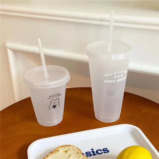 Kawaii Plastic Water Bottle with Lid and Straw Reusable Cold Drink Cup
