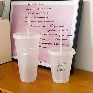 Kawaii Plastic Water Bottle with Lid and Straw Reusable Cold Drink Cup