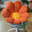 Orange Pillow
