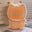 light brown cookie cat