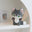 Grey Fox