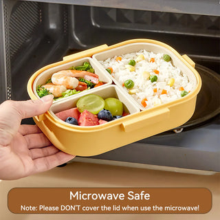 3 Grid Portable Lunch Box – Microwave Safe Bento Food Container