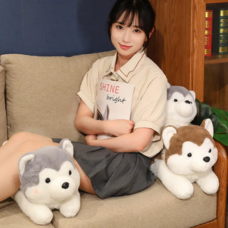 30/40cm Kawaii Husky Plush