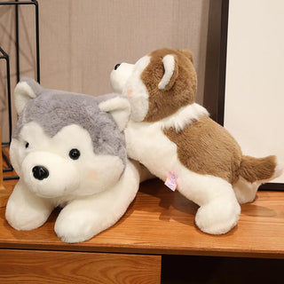 30/40cm Kawaii Husky Plush