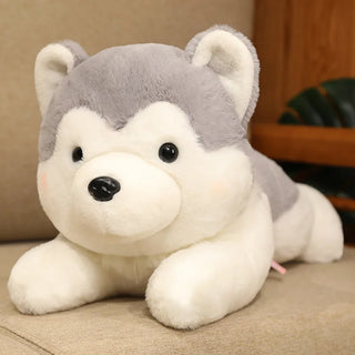 30/40cm Kawaii Husky Plush