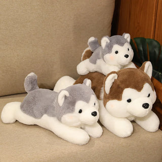 30/40cm Kawaii Husky Plush