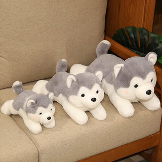 30/40cm Kawaii Husky Plush