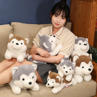 30/40cm Kawaii Husky Plush