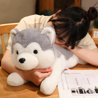 30/40cm Kawaii Husky Plush
