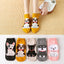 Color2 5 Pairs
