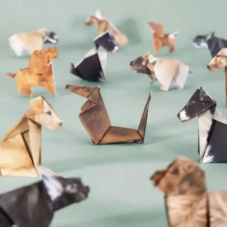 Fold Your Own Animal Origami Kit – Cats, Dogs & Dinosaurs