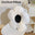 22x25cm Pillow White