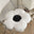 45x45cm cushion White