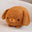 Biscuit (Brown)