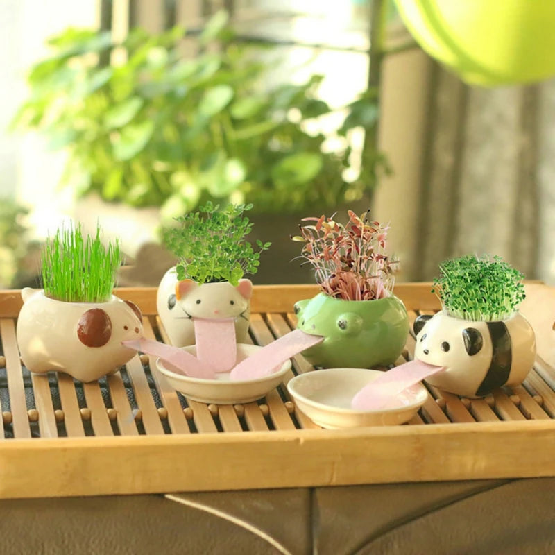 kawaii plant pots Cute Animal Drinking Ceramic Plant pot