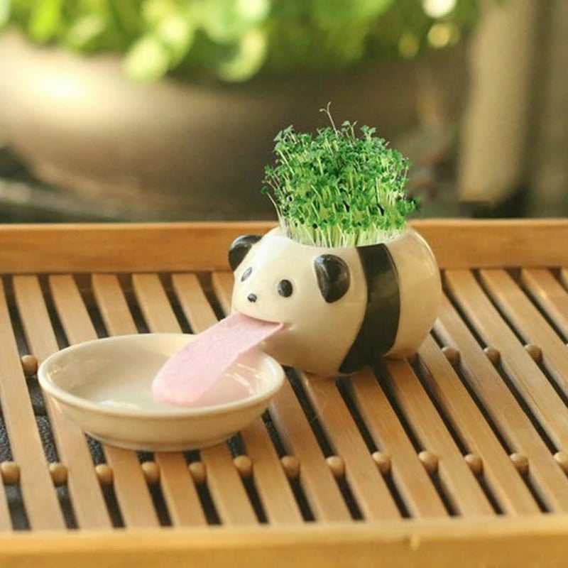 panda plant pot Cute Animal Drinking Ceramic Plant pot