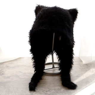 Fluffy Cat Ear Winter Hat – Faux Fur Warm Beanie