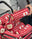 Red Apple - pen bag