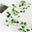 1pc vine