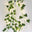 string LED with vine
