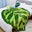 Green Leaf Pattern B
